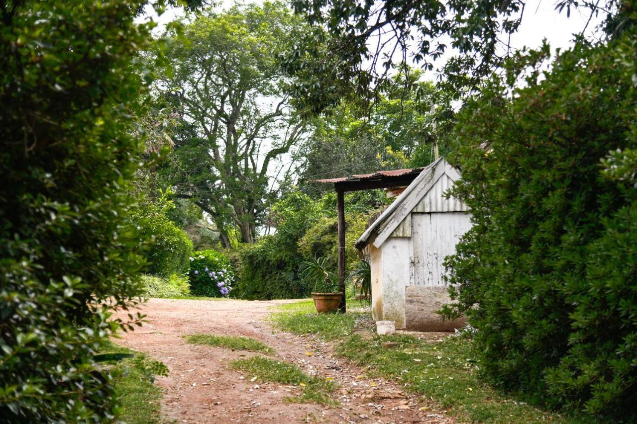 The Knoll Historic Guest Farm Villa Hilton Exterior photo